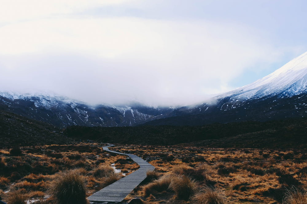 wooden hiking path