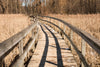 wooden path through field