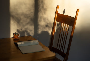 wooden table and chair with a notebook and small plant