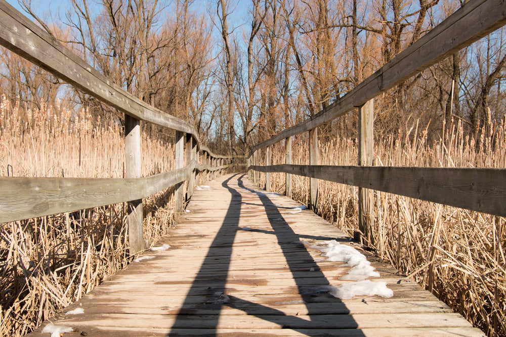 wooden walkway through field