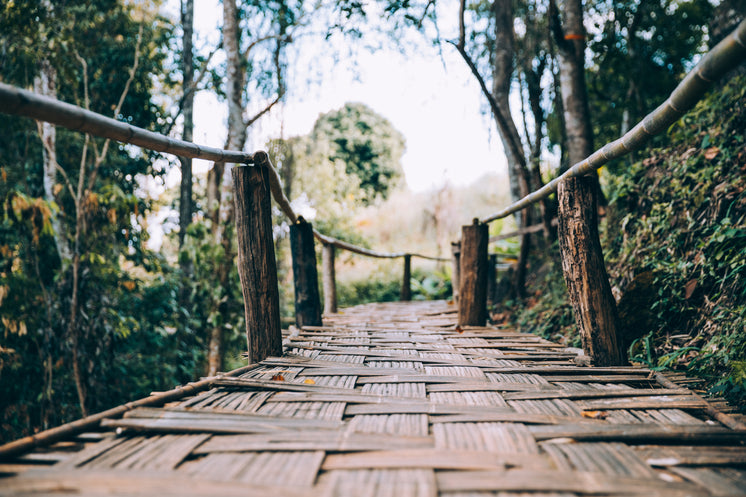 Wooden Woven Bamboo Walking Bridge