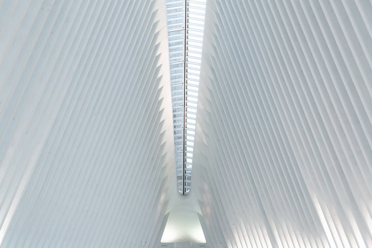 World Trade Centre Station Ceiling