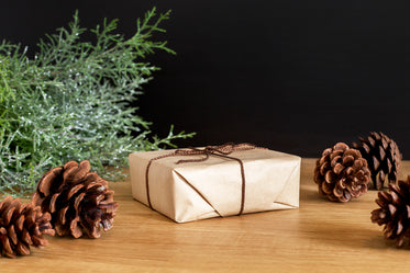 wrapped package and pine cones