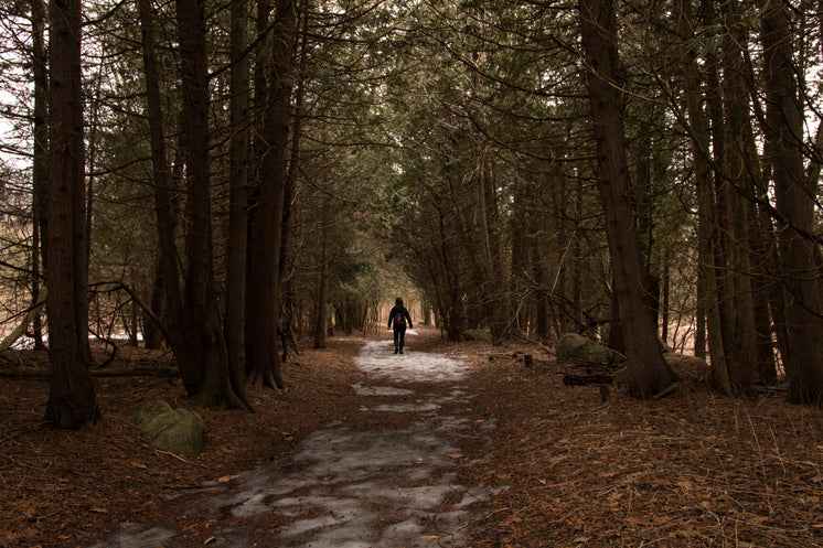 Wrapped Up For Winter Walk