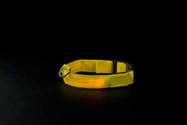 yellow flashing dog collar