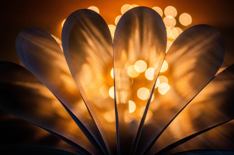 yellow-petals-covered-in-yellow-bokeh-li