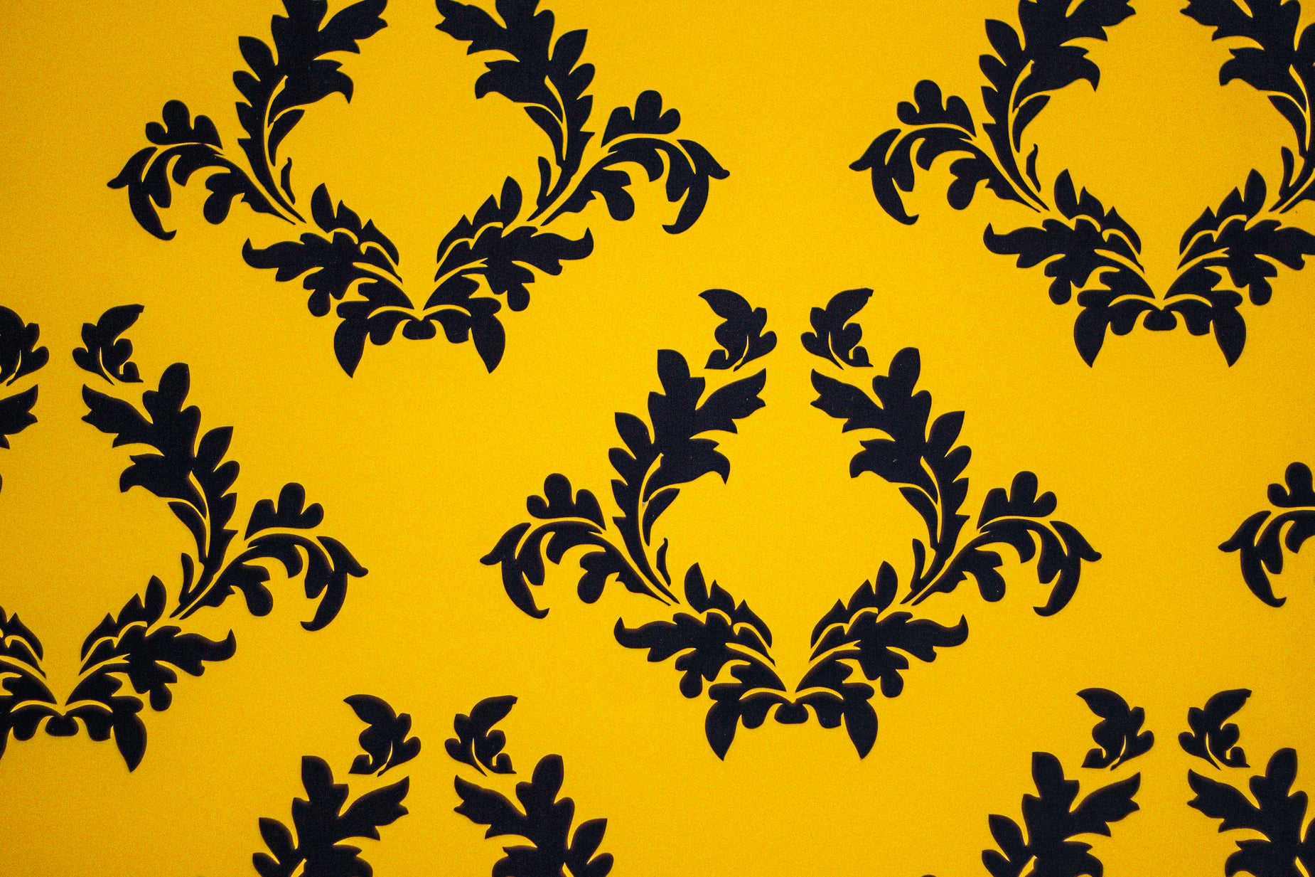 Picture of Yellow Regal Filagree Pattern Free Stock Photo