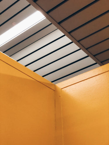 yellow walls with slatted ceiling