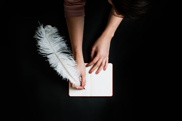 young woman writing in notebook with quil