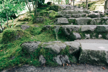 zen garden stone steps