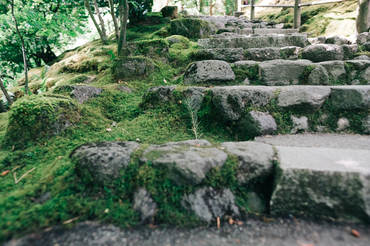 zen-garden-stone-steps.jpg?width=746&for